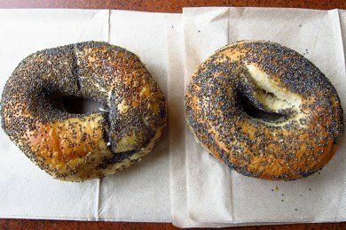 are blueberry bagels bad for dogs