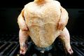 Beer Can Chicken Recipe