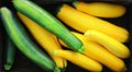 Summer Squash Recipes