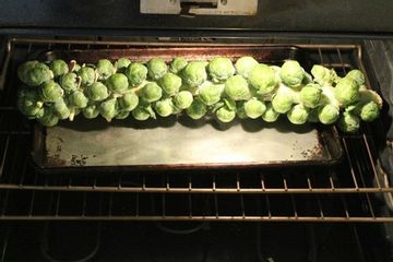 brusselslongoven.360