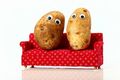 Slow Cooker Potato
