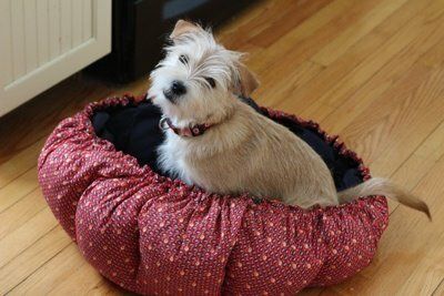 Food Tool Friday: This Cloth Bag Is Actually a Powerless Slow Cooker « Food  Hacks :: WonderHowTo