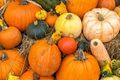 Healthy Fall Recipes