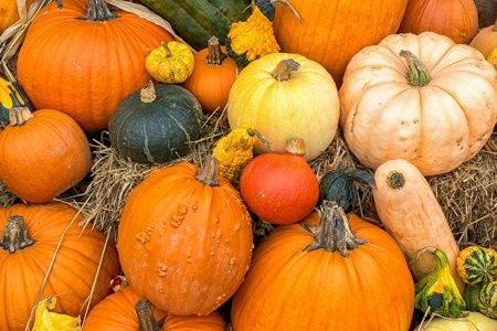 Healthy Fall Recipes