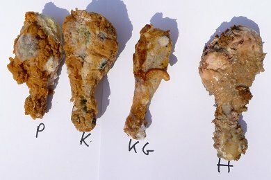 Fried Chicken Rot Experiment: Results