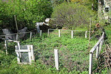 Vegetable Garden