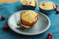 Gluten free Cranberry orange muffin