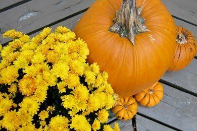 10 Healthy Halloween Ideas