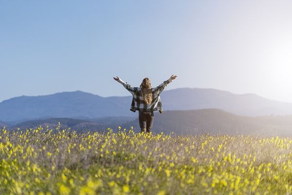 Declare Your Independence from a Weight-Obsessed World