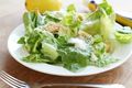 Lighter Caesar Dressing - No Mayo