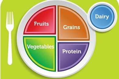 MyPlate vs. Harvard Pyramid