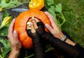 Roasted Pumpkin Seeds: Keep the Good Stuff