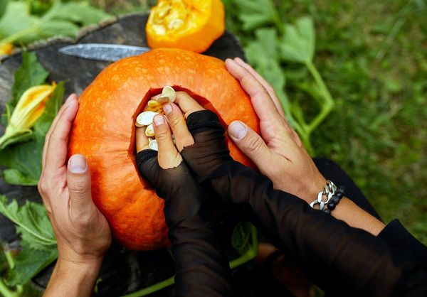 Roasted Pumpkin Seeds: Hold the Good Stuff