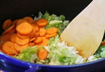 sautevegbbsoup.360
