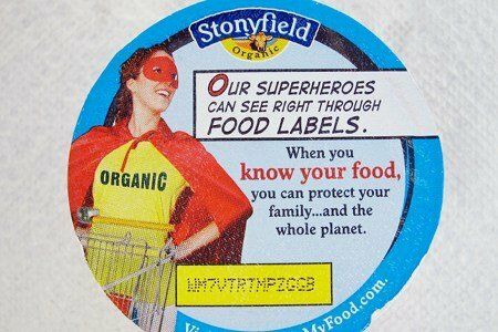 Stonyfield Yogurt Review