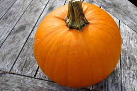 Top 11 Pumpkin Recipes