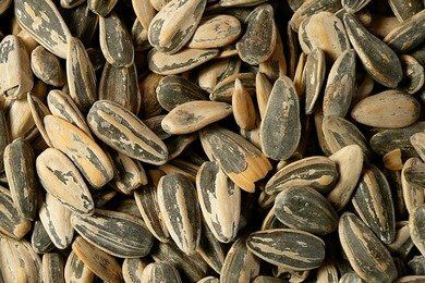 Sunflower Seeds