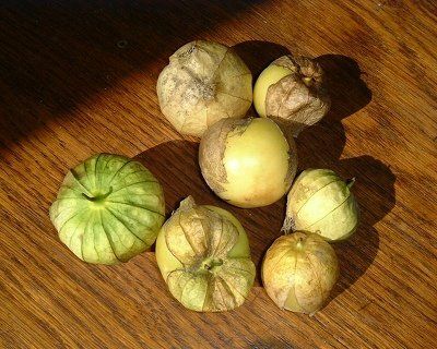 tomatillo