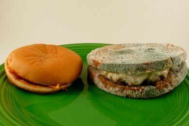 McDonalds Burger Rot Revisited