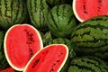 Watermelon Salads