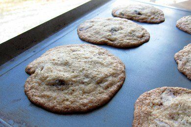 Whole Wheat Chocolate Chip Cookie 